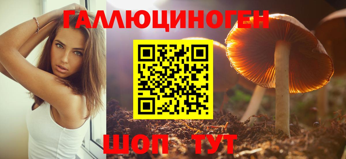 Псилоцибиновые грибы GOLDEN TEACHER Саров